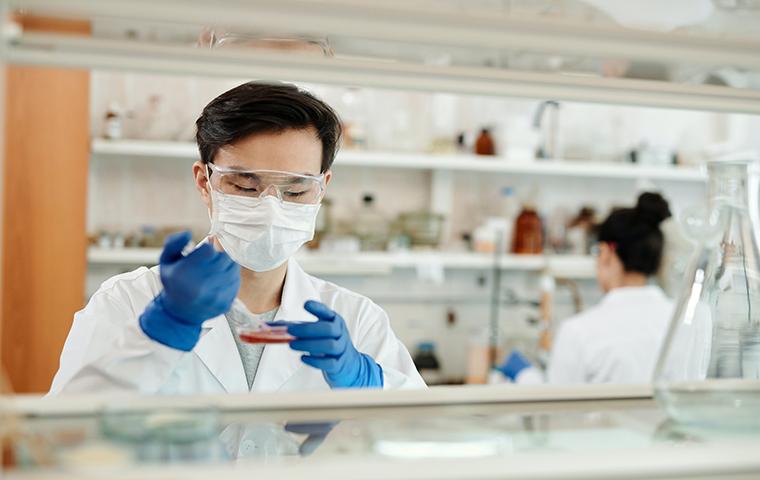 a boy in a laboratory image link to story