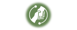 Social Sector Ethics 
