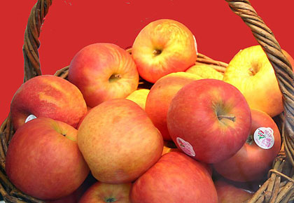 A wicker basket full of red and yellow apples.