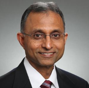 Information Systems and Analytics Professor Naren Agarwal Head Shot