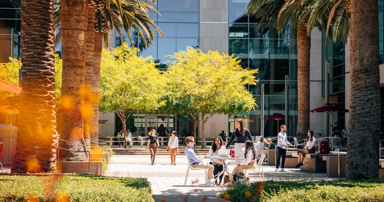 Leavey grad students meeting outdoors on campus under the California palm trees image link to article