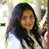 Krishikka Sawla