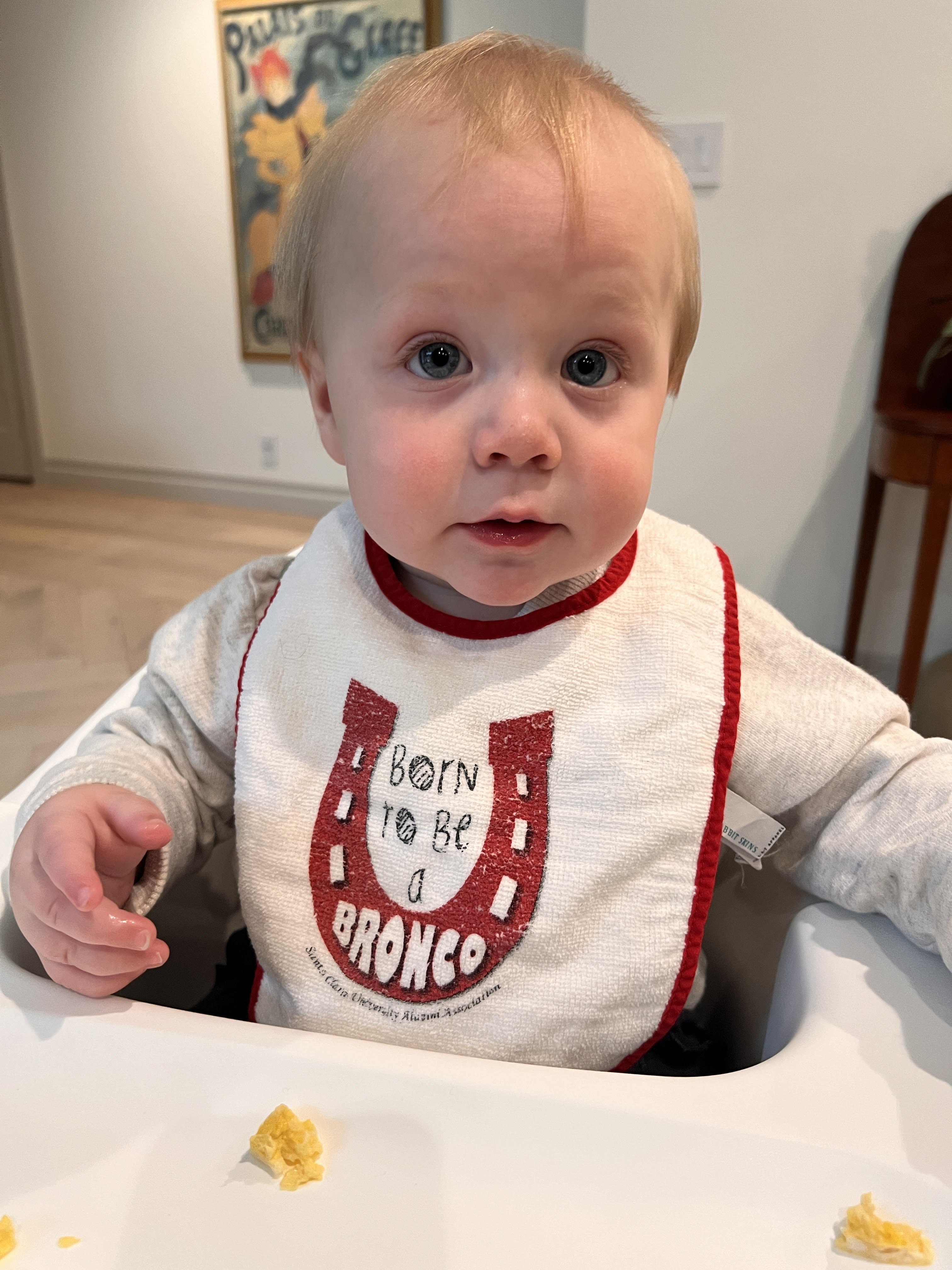 Baby Bib