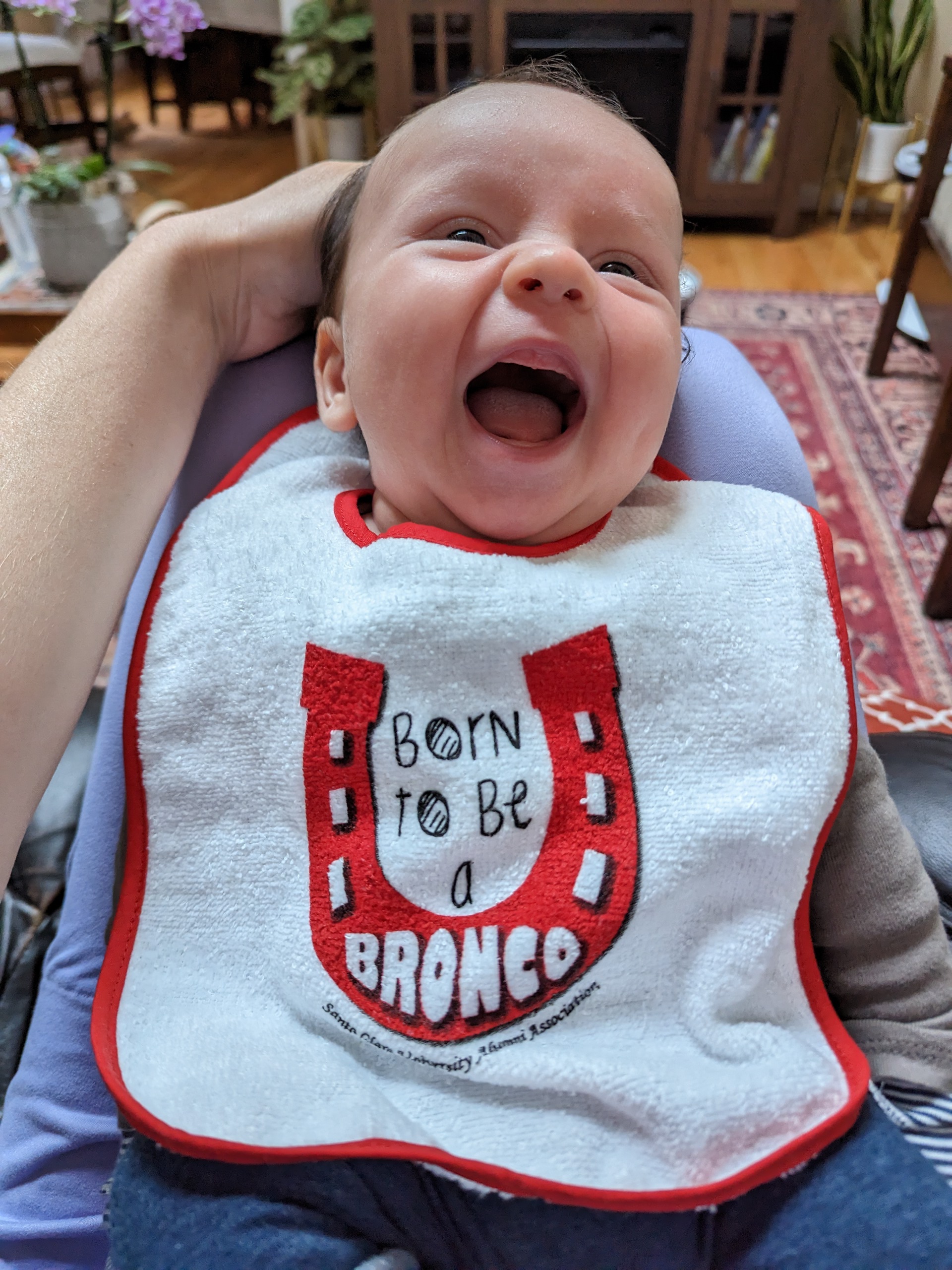 Baby Bib 1